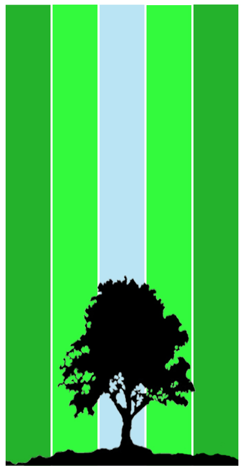 Enter Alt Text Here